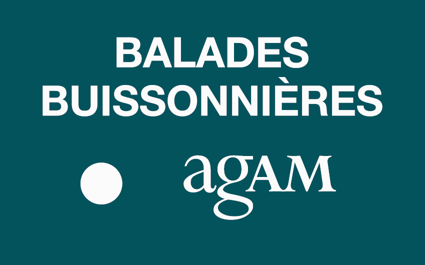 écran dynamique balades buissonnières agam