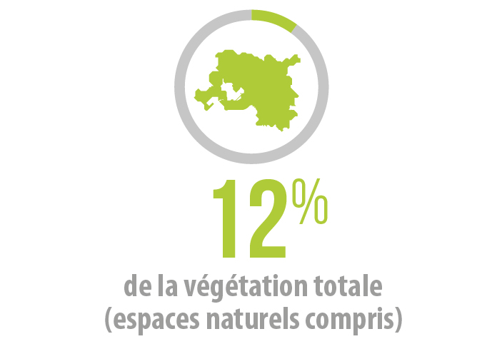 Chiffres clés nature en ville végétation