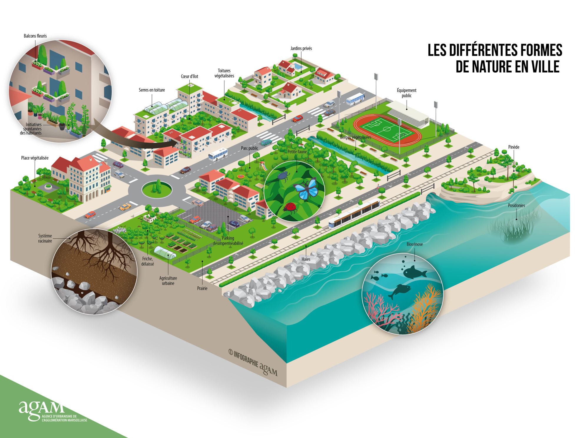 Ville végétale, ville désirable : quand la ville prend racine