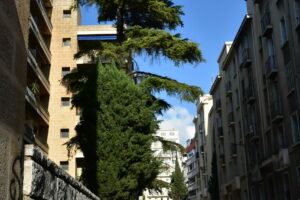 RUE ABBE FARIA 2 RUE ABBE FARIA 2