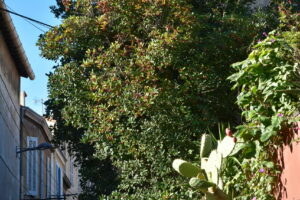 RUE BENOIT MALON RUE BENOIT MALON