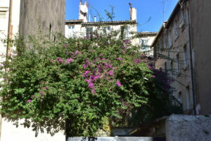 RUE CURIE 4 RUE CURIE 4