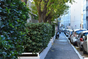 RUE DES TROIS FRERES CARASSO RUE DES TROIS FRERES CARASSO