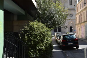 RUE TERRUSSE RUE TERRUSSE