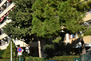 RUE VIRGILE MARRON 1 RUE VIRGILE MARRON 1